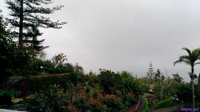 191 Jardim Botanico