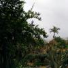 192 Jardim Botanico