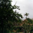 192 Jardim Botanico