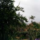 192 Jardim Botanico