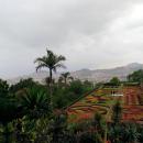 193 Jardim Botanico