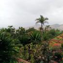 194 Jardim Botanico