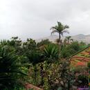 194 Jardim Botanico