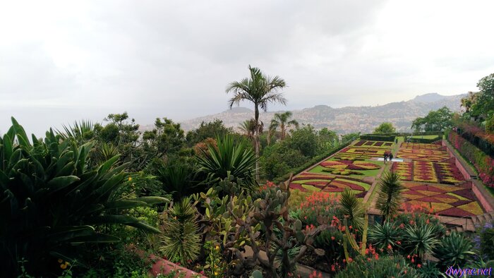 194 Jardim Botanico