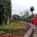 195 Jardim Botanico
