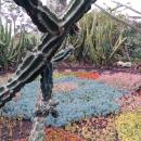 196 Jardim Botanico
