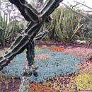 196 Jardim Botanico