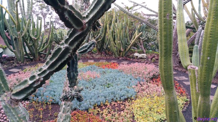 196 Jardim Botanico