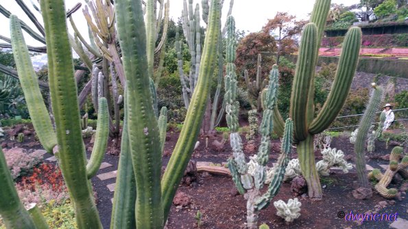 197 Jardim Botanico