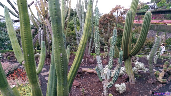197 Jardim Botanico