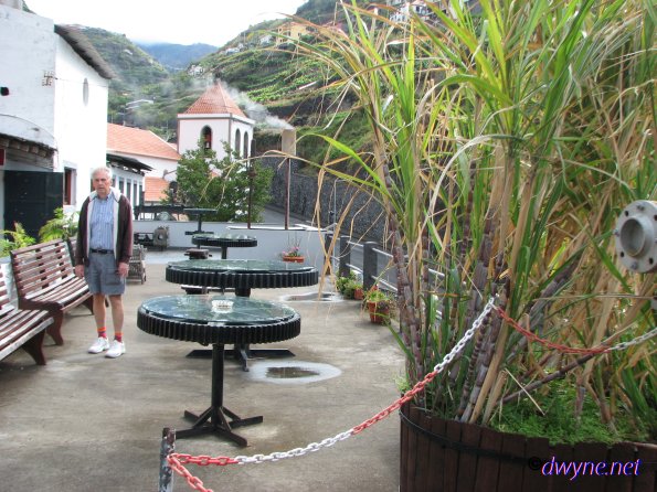 269 Calheta