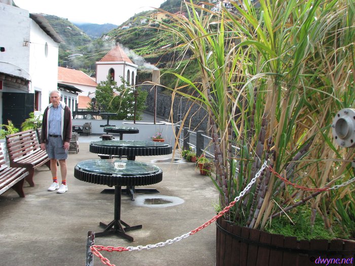 269 Calheta