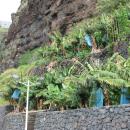 270 Calheta