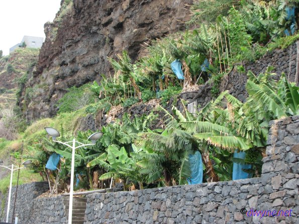 270 Calheta