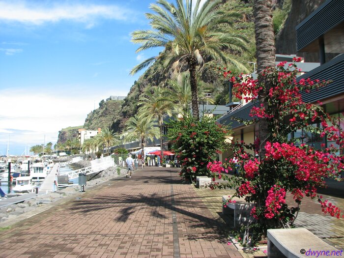 271 Calheta