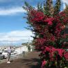 272 Calheta
