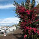 272 Calheta