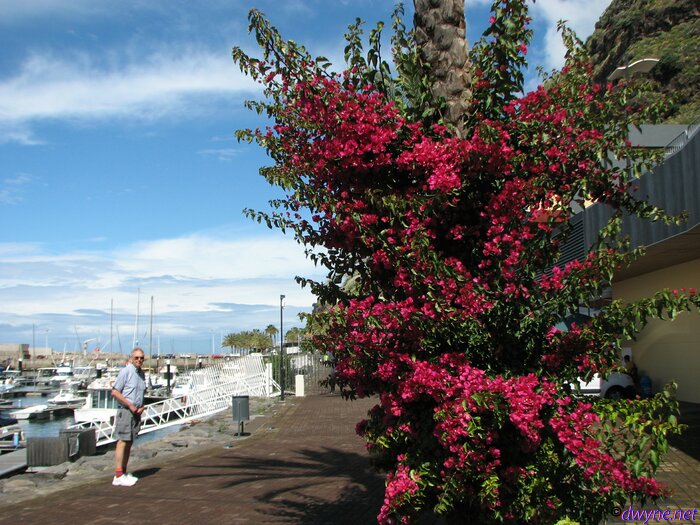 272 Calheta