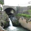 311 Ribeira Grande