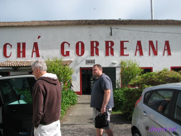 314 Gorreana Tea Plantation