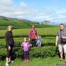 316 Gorreana (Tea) Plantation