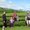 316 Gorreana Tea Plantation