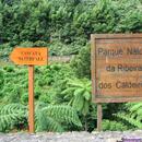 320 Ribeira dos Caldeiroes