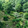 325 Ribeira dos Caldeiroes