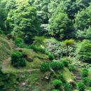 325 Ribeira dos Caldeiroes