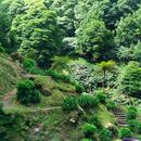 325 Ribeira dos Caldeiroes