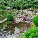 326 Ribeira dos Caldeiroes