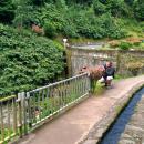 329 Ribeira dos Caldeiroes