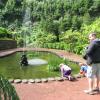 336 Ribeira dos Caldeiroes
