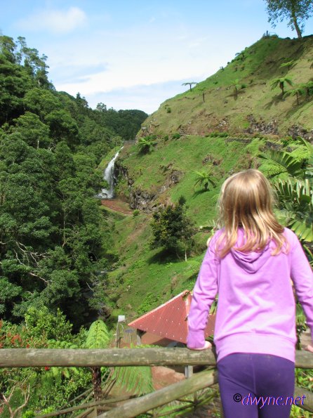 338 Ribeira dos Caldeiroes