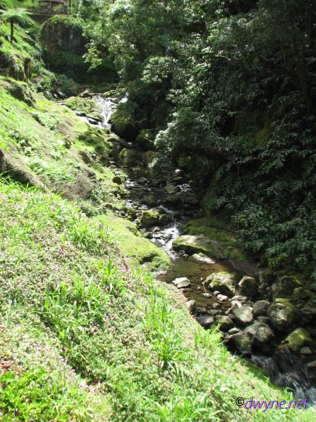 340 Ribeira dos Caldeiroes