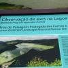 353 Furnas Lake