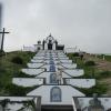 369 Senhora da Paz