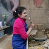 398 Ceramica Vieira