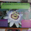 403 Fabrica de Licores Edurdo Ferreira