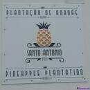 412 Plantacao de Ananas