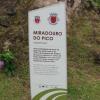 416 Miradouro do Pico (Lunch)