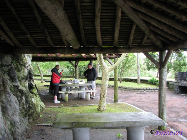 420 Miradouro do Pico (Lunch)