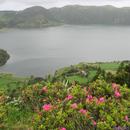 431 Sete Cidades