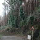 9-Mtn-road-Rabacal