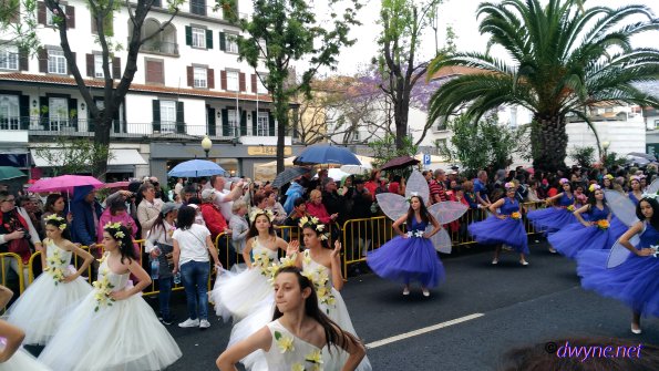 088-Madeira-2018