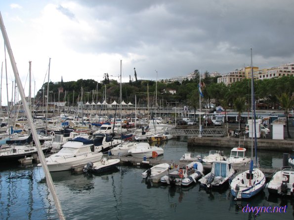 100-Madeira-2018