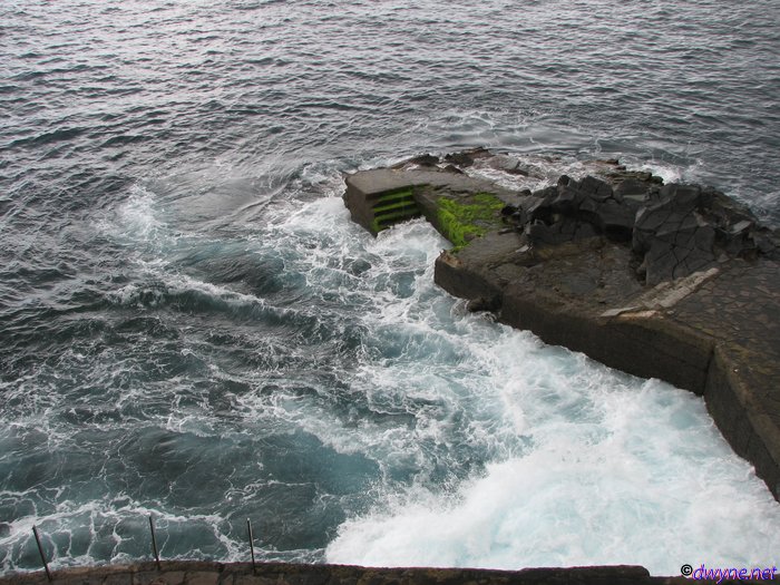 105-Madeira-2018