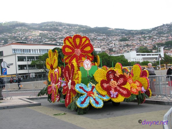 116-Madeira-2018