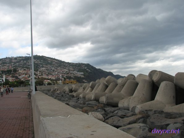 120-Madeira-2018