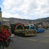 122-Madeira-2018